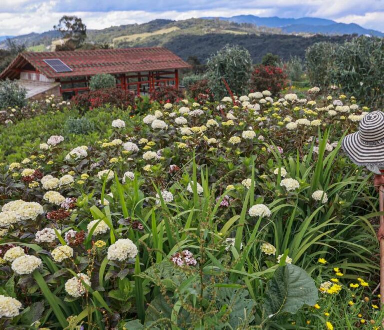 Santa Elena: Flores y Paisajes a un Paso de ISAK